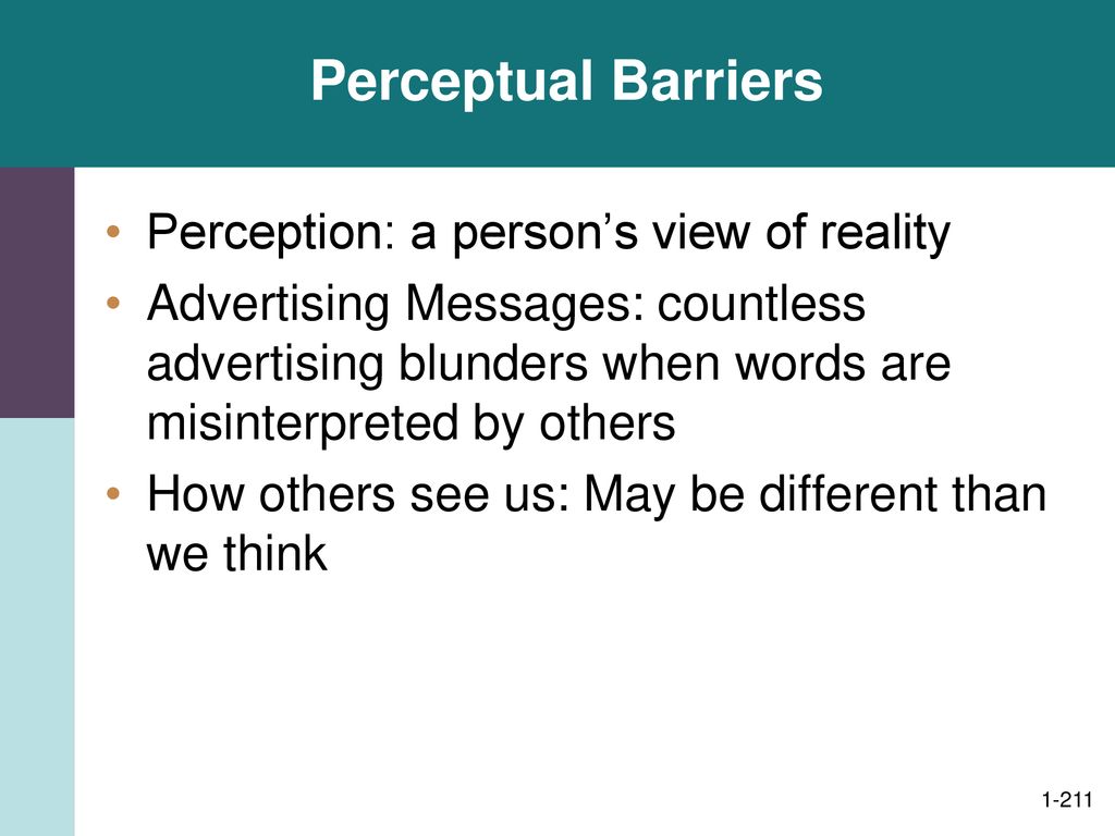 Perceptual Barriers Perception: a person’s view of reality