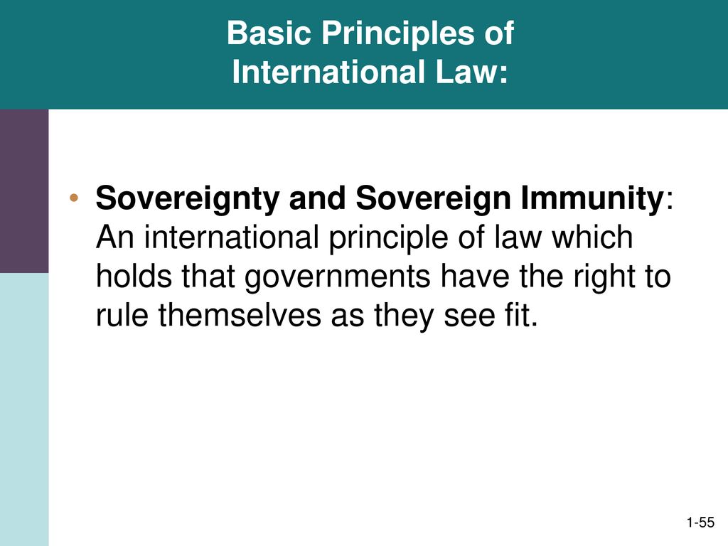 Basic Principles of International Law: