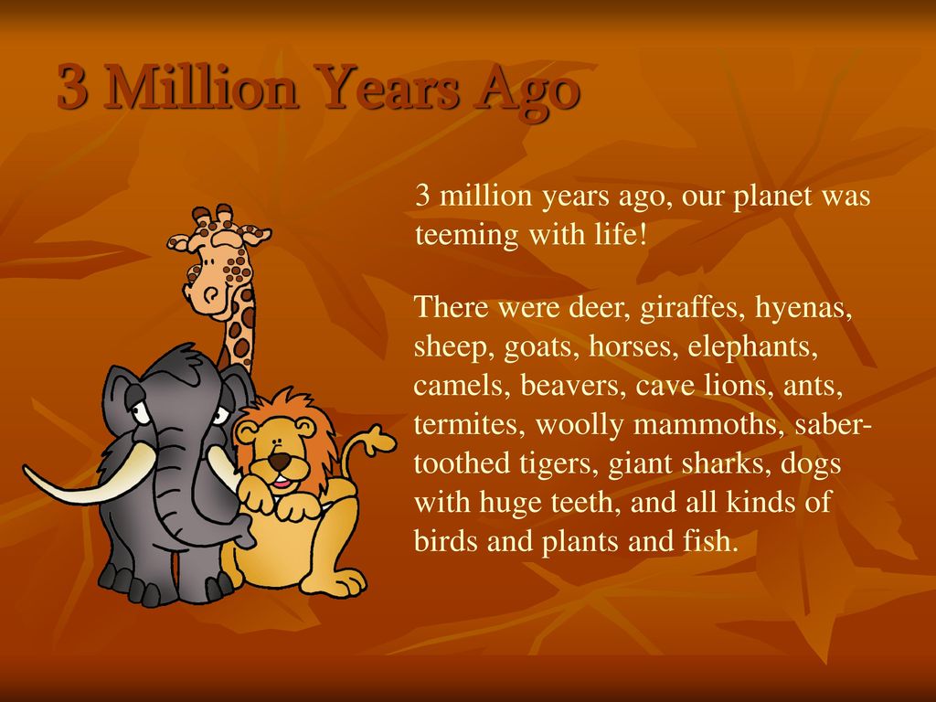 Hominids are the family of mankind and his or her relatives. - ppt download