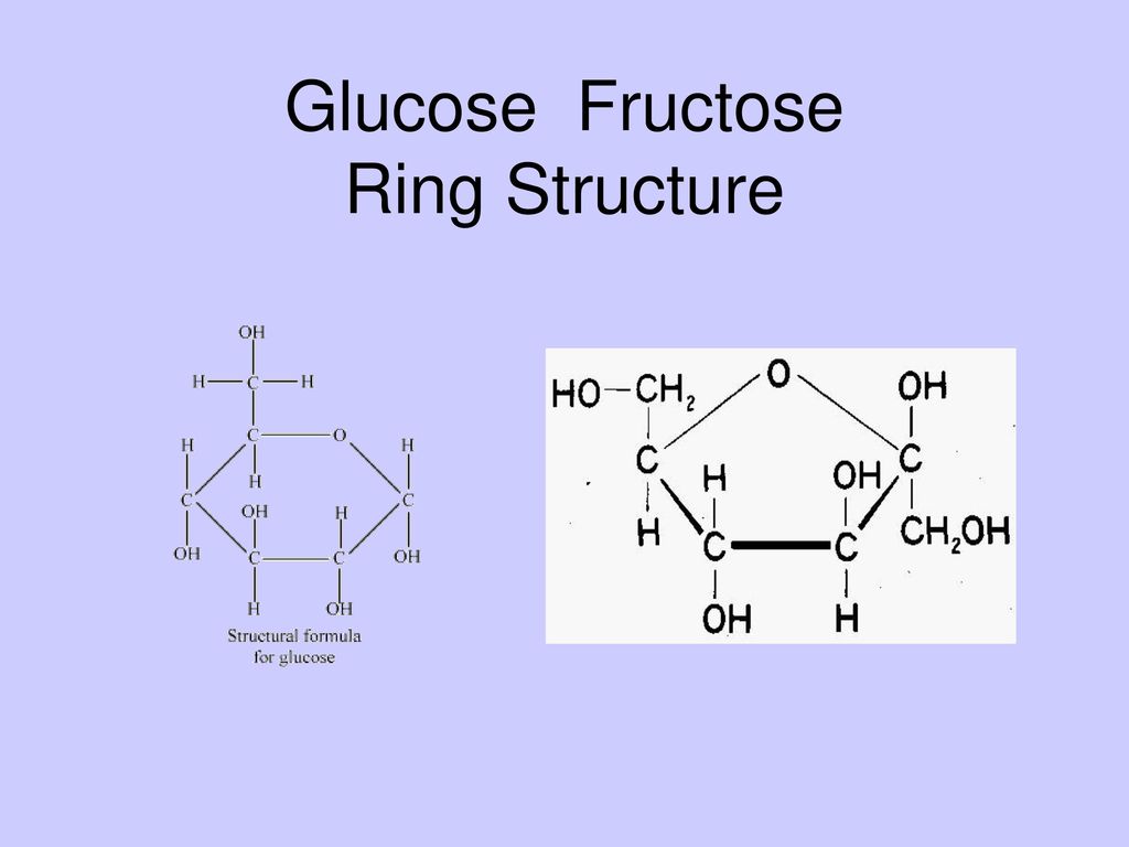 CH. 2-3 Macromolecules. - ppt download