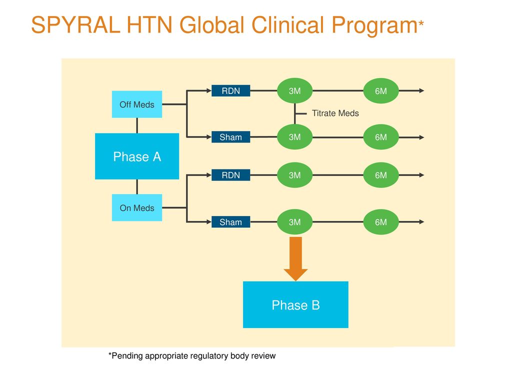 SPYRAL HTN Global Clinical Program*