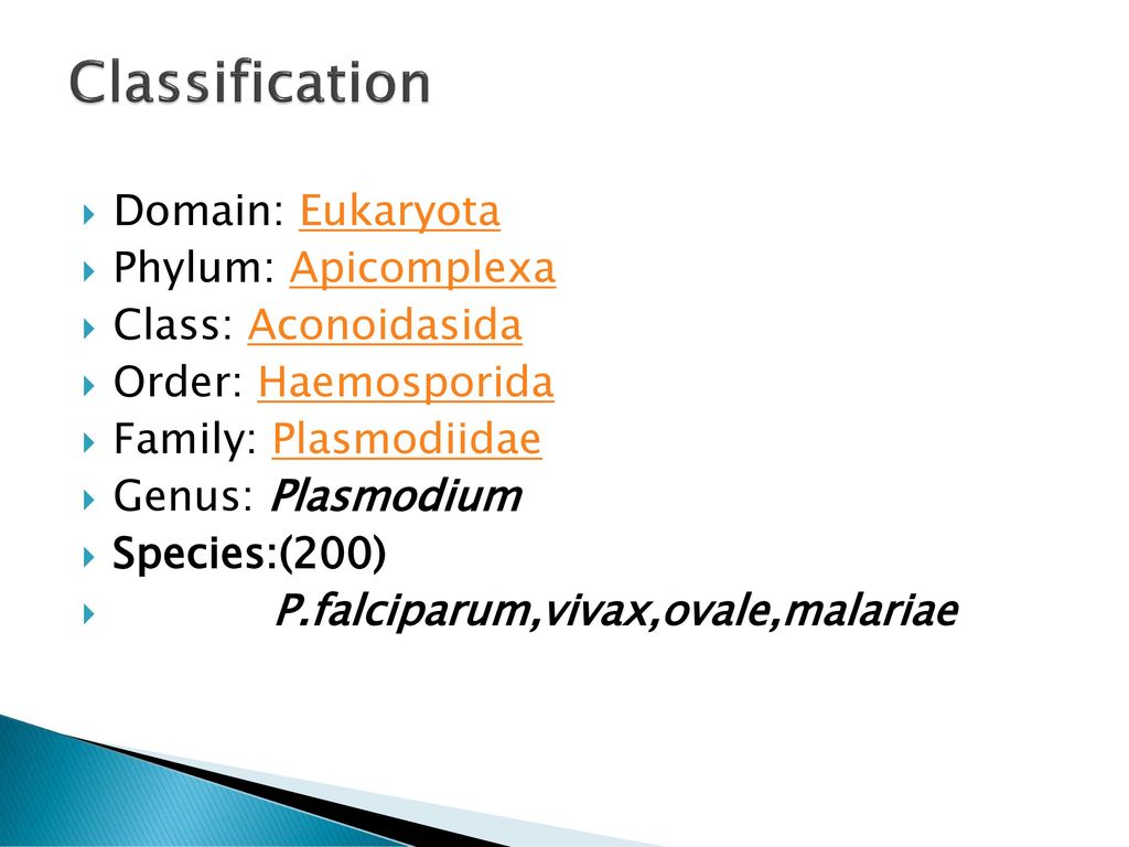 Blood and Tissue Protozoa - ppt download