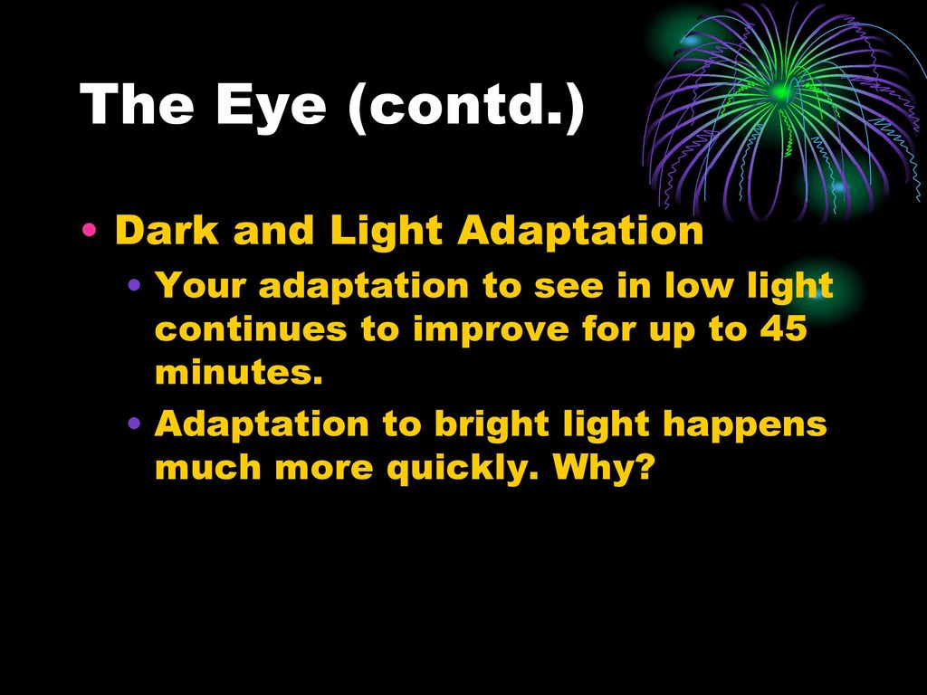 The Eye (contd.) Dark and Light Adaptation