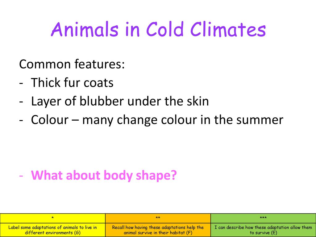Adaptations to survive the cold and hot environments - ppt download