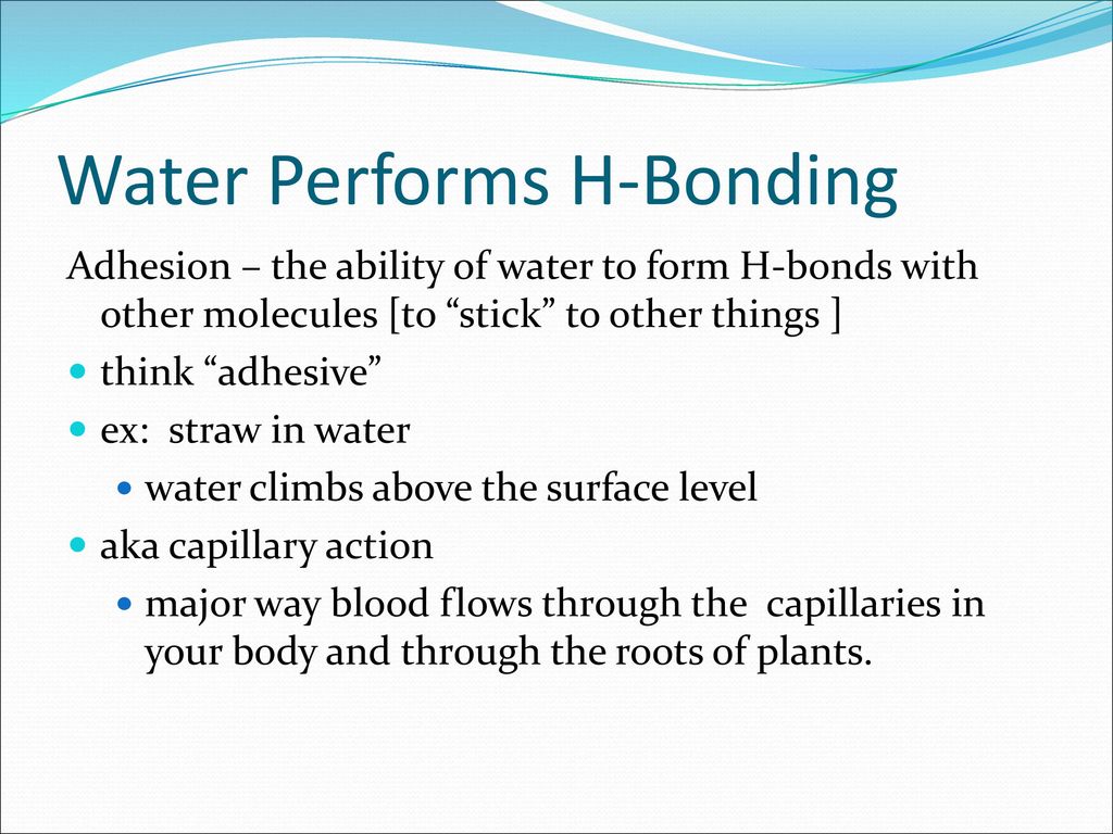 Water Performs H-Bonding