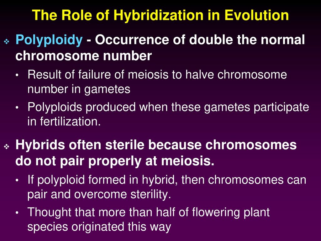 Chapter 15 Evolution Lecture Outline Biology Diagrams