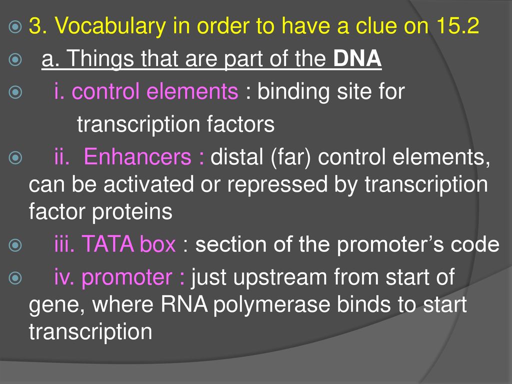 Chapter 15 Gene Control ppt download