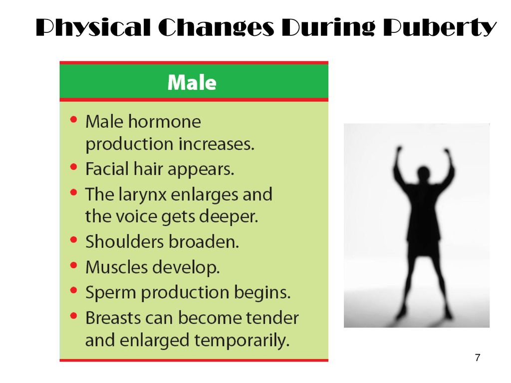 During physical puberty changes Puberty health