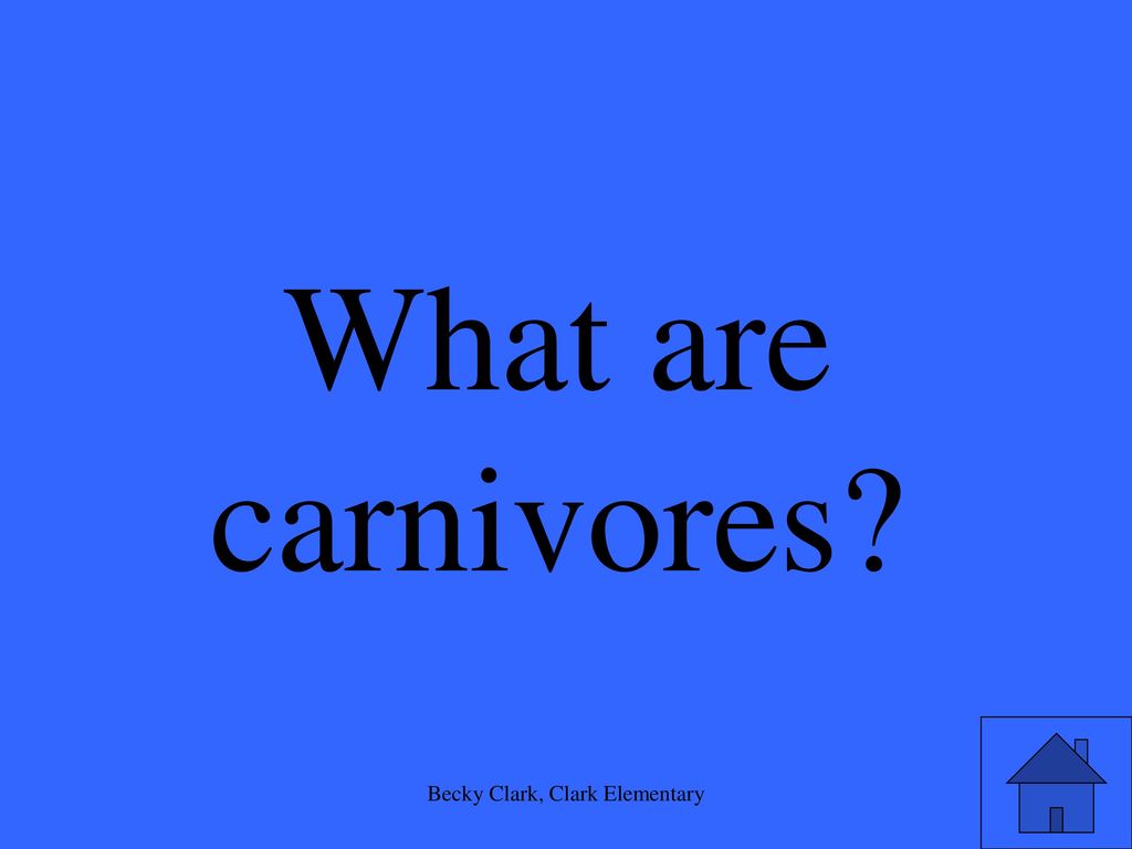 Becky Clark, Clark Elementary Biology Diagrams