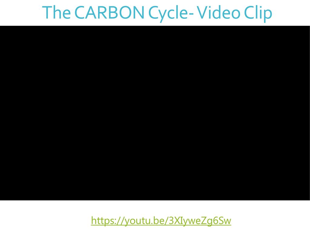 The CARBON Cycle- Video Clip