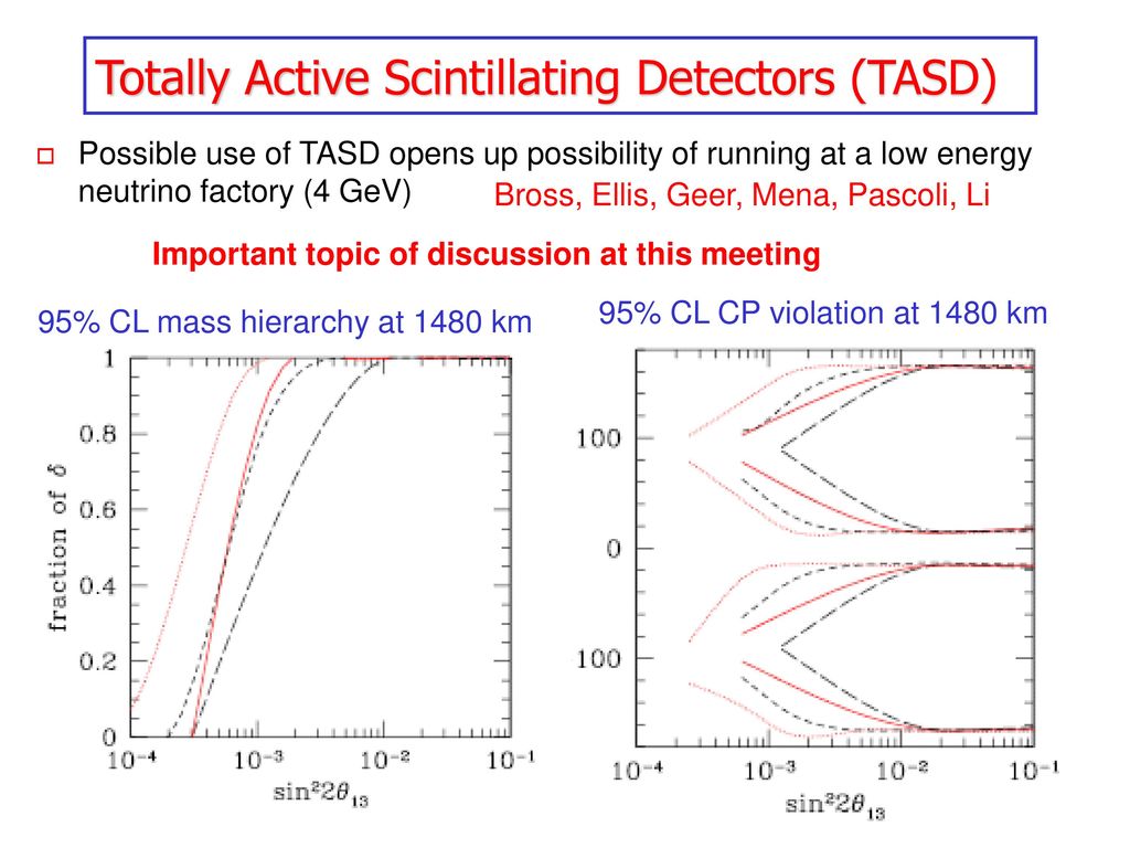 Totally Active Scintillating Detectors (TASD)
