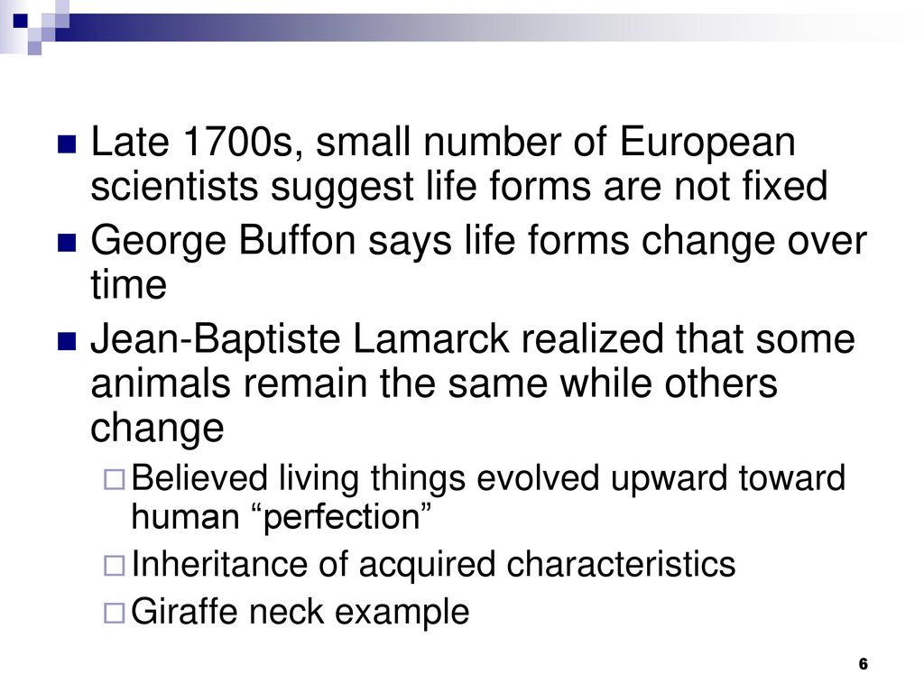 CHAPTER 23 LECTURE SLIDES - ppt download