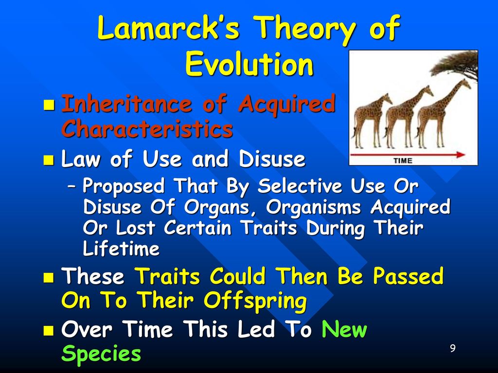 Evolution “Nothing in biology makes sense EXCEPT in the light of evolution.” Theodosius Dobzhansky. - ppt download