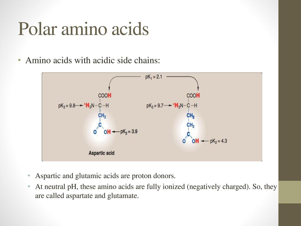 Вампир нейтрал донор. Non Polar Amino acids. Polar Amino acids. Amino acids with Basic Side Chains. Amino acids ionization.