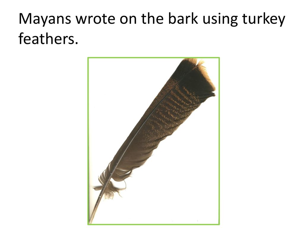 Mayans wrote on the bark using turkey feathers.