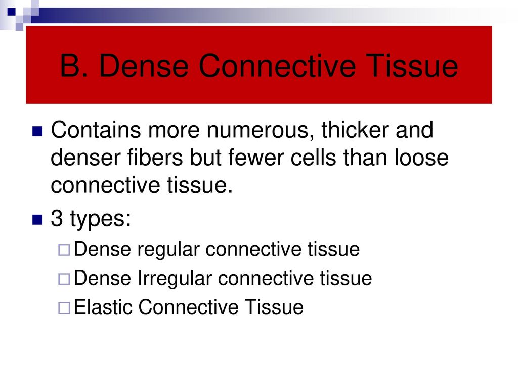 Connective tissue ppt download