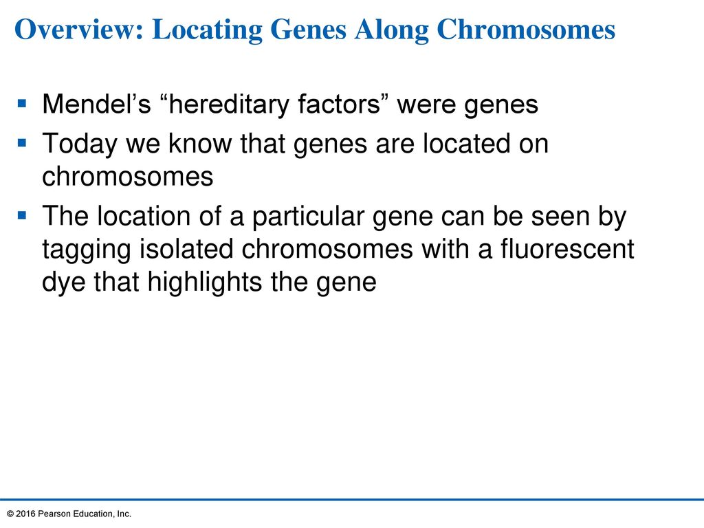 Overview: Locating Genes Along Chromosomes
