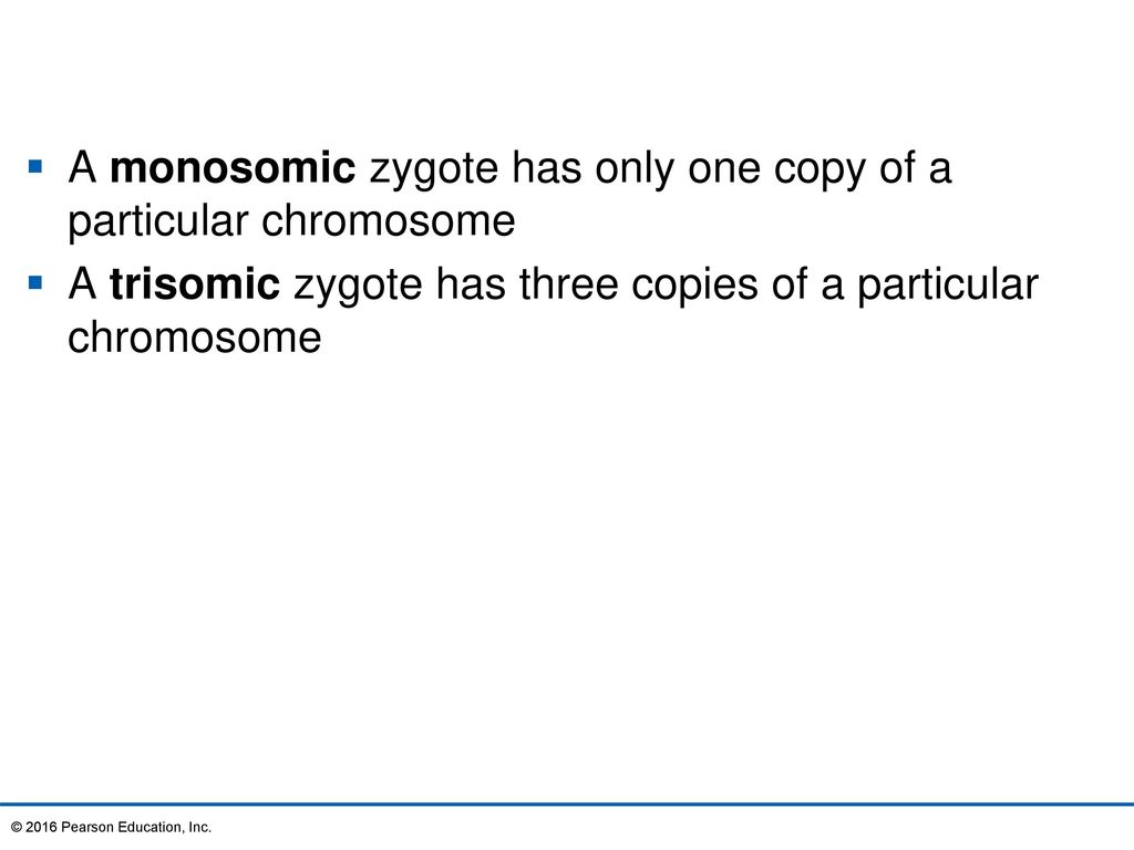 A monosomic zygote has only one copy of a particular chromosome