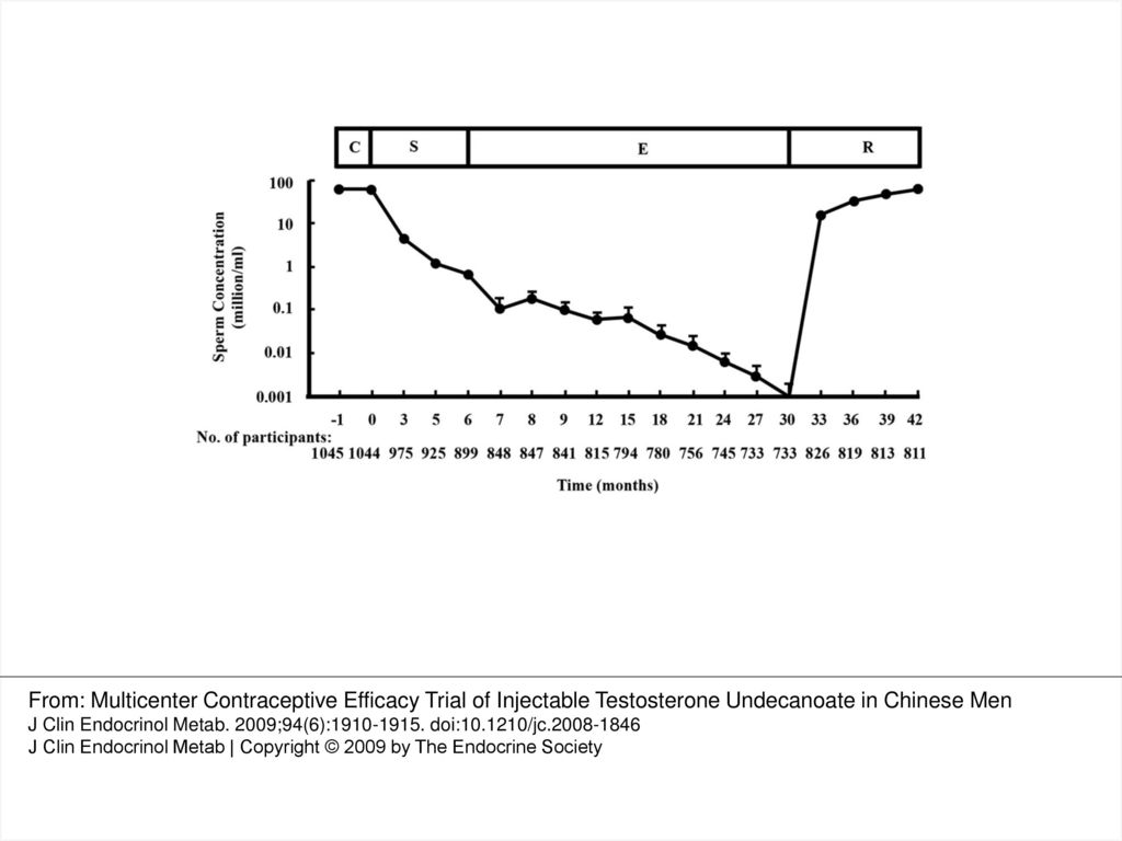 Fig. 2. The changes in sperm concentration with log scale during the study period. Values were expressed as the mean ± sem. C, S, E, and R indicate the control, suppression, efficacy, and recovery phases, respectively.