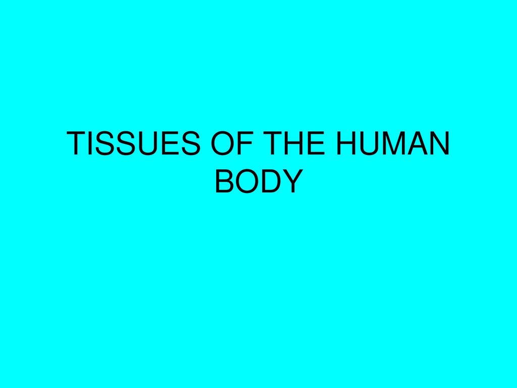 TISSUES OF THE HUMAN BODY Biology Diagrams