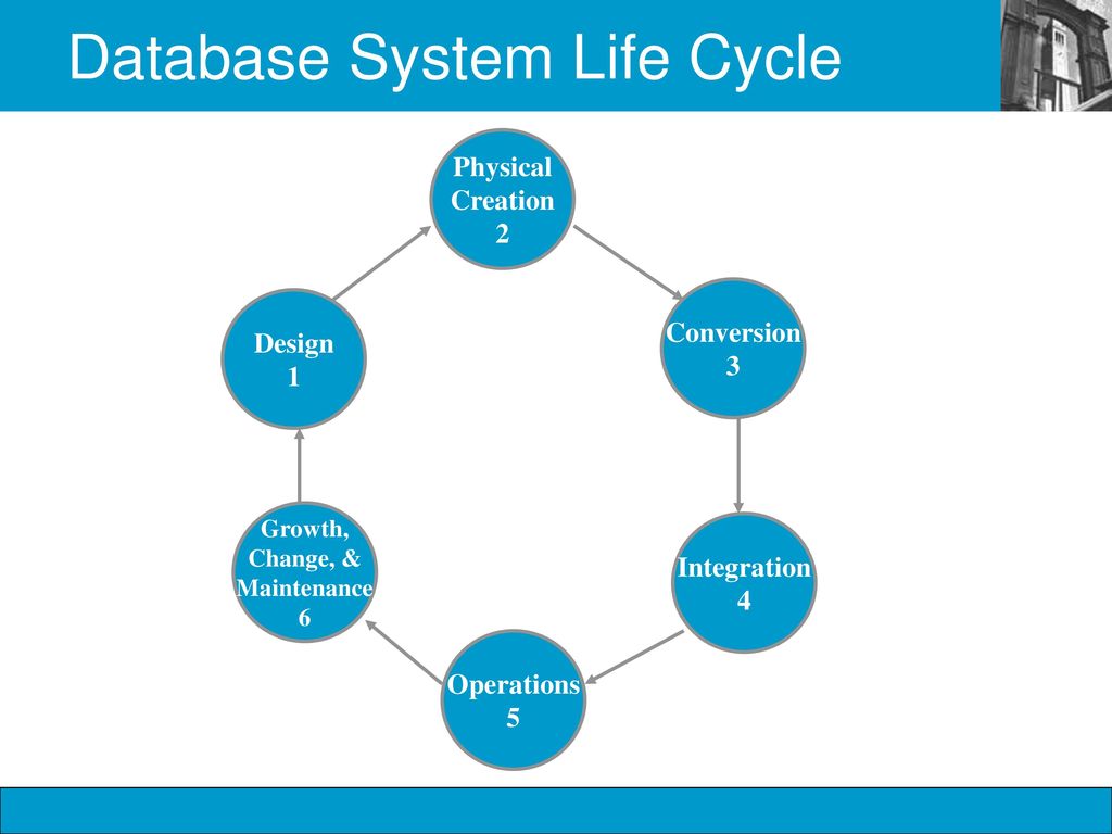 Database management ppt download