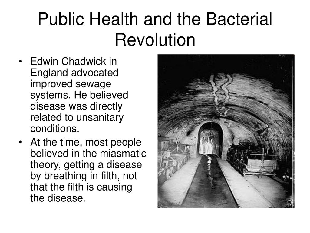 Public Health and the Bacterial Revolution