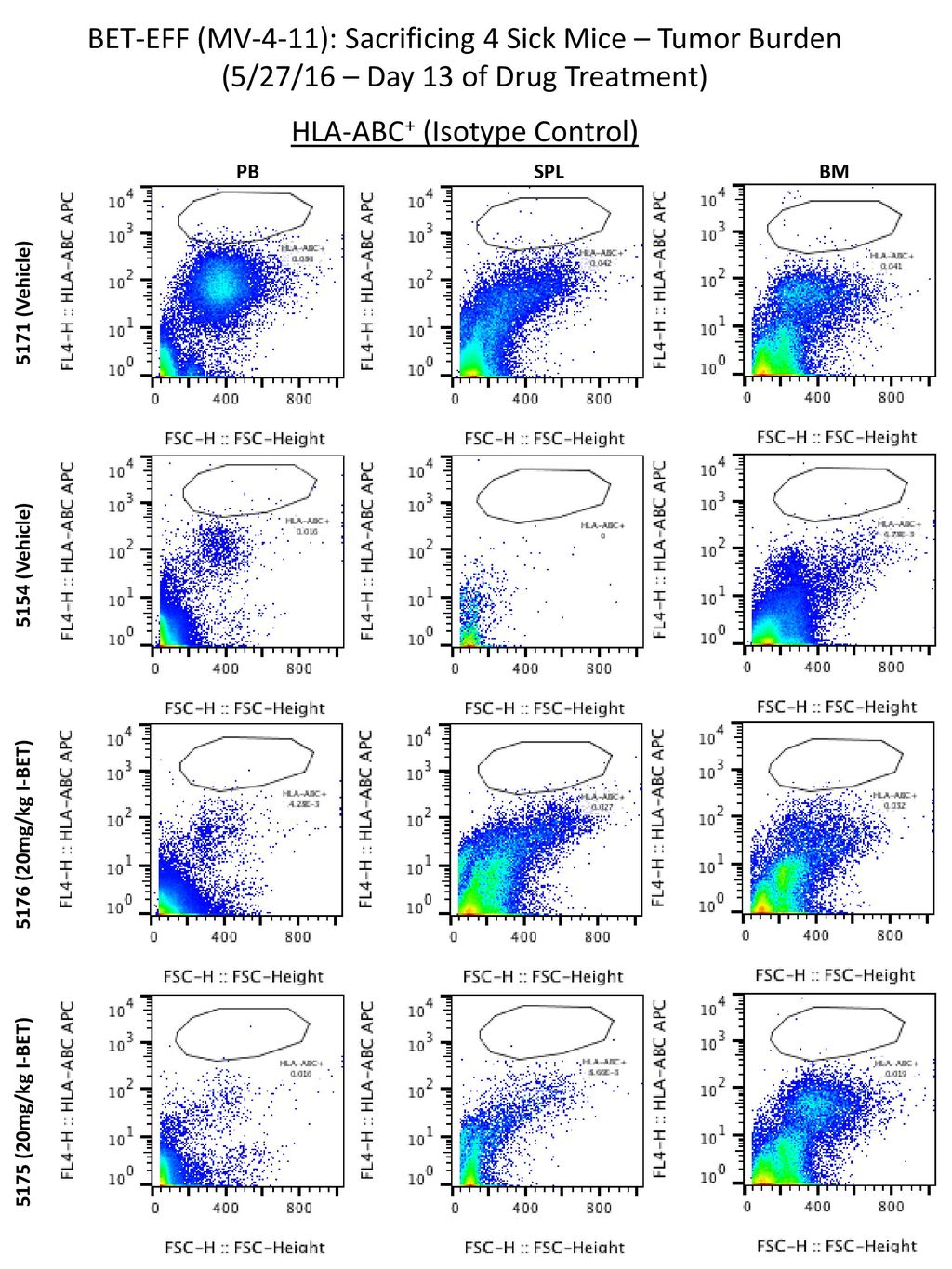 BET-EFF (MV-4-11): Sacrificing 4 Sick Mice – Tumor Burden