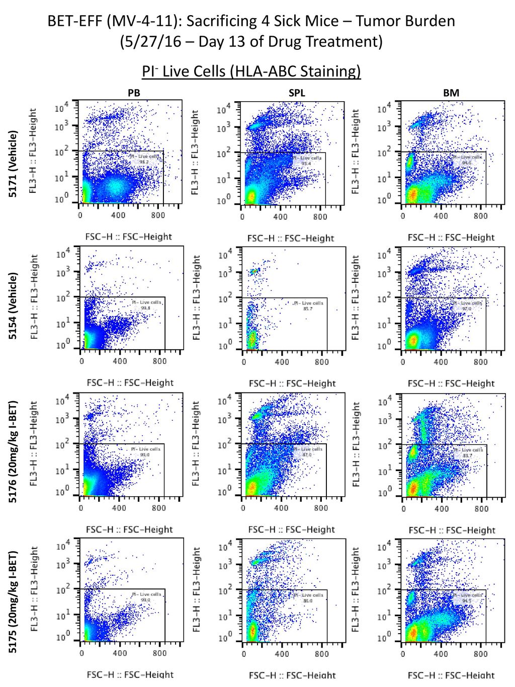 BET-EFF (MV-4-11): Sacrificing 4 Sick Mice – Tumor Burden