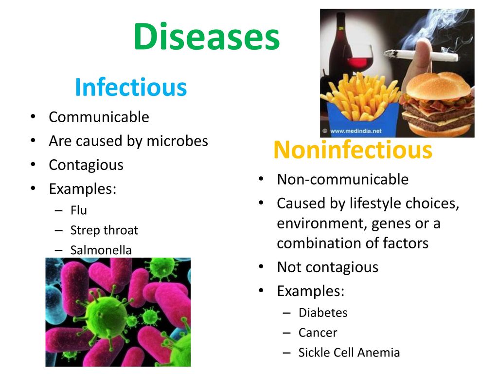 Epidemiology & Microbiology Review - ppt download