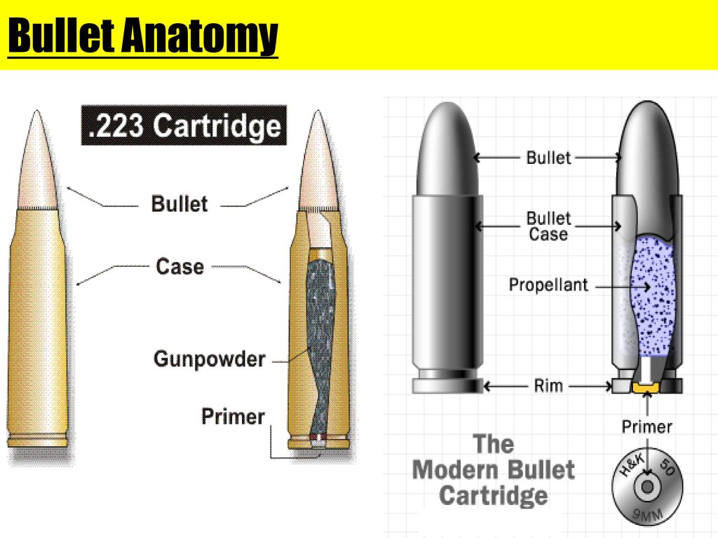 Bullet Anatomy