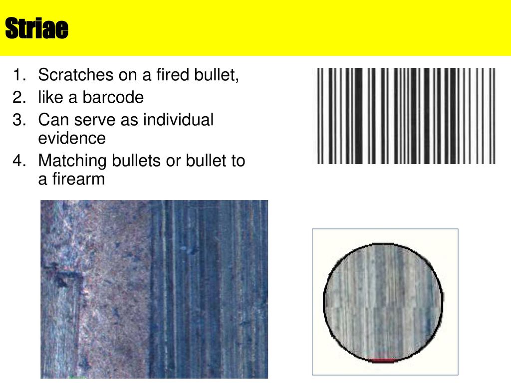 Striae Scratches on a fired bullet, like a barcode