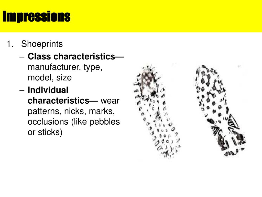 Impressions Shoeprints