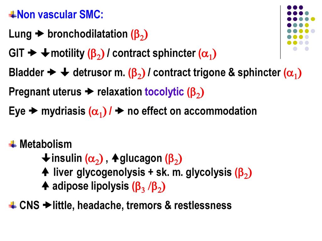 Non vascular SMC: Lung  bronchodilatation (b2) GIT  motility (b2) / contract sphincter (a1)