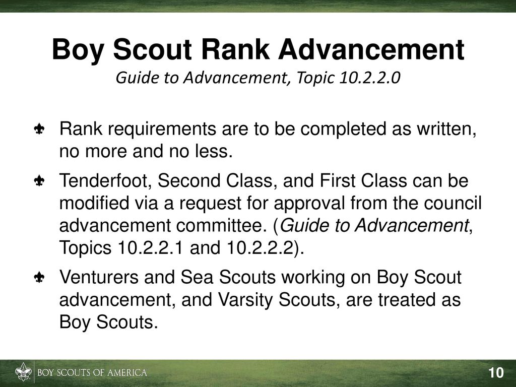 Including Scouts With Disabilities ppt download