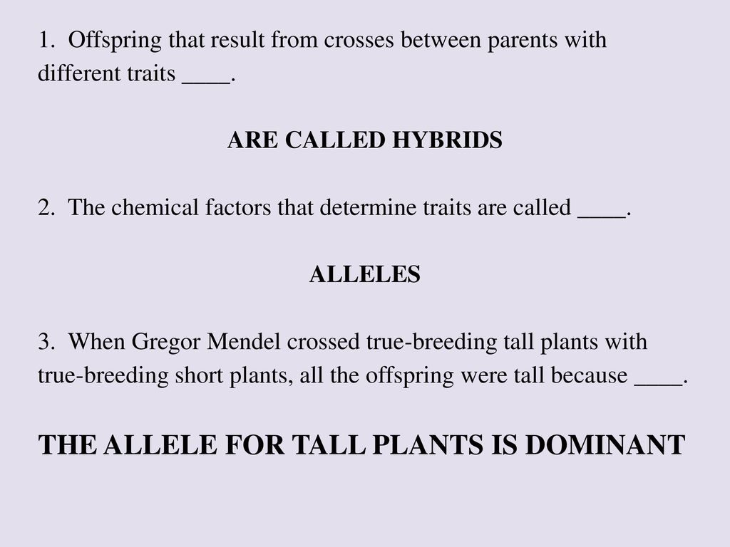 Advancedbiology final exam study guide ppt download