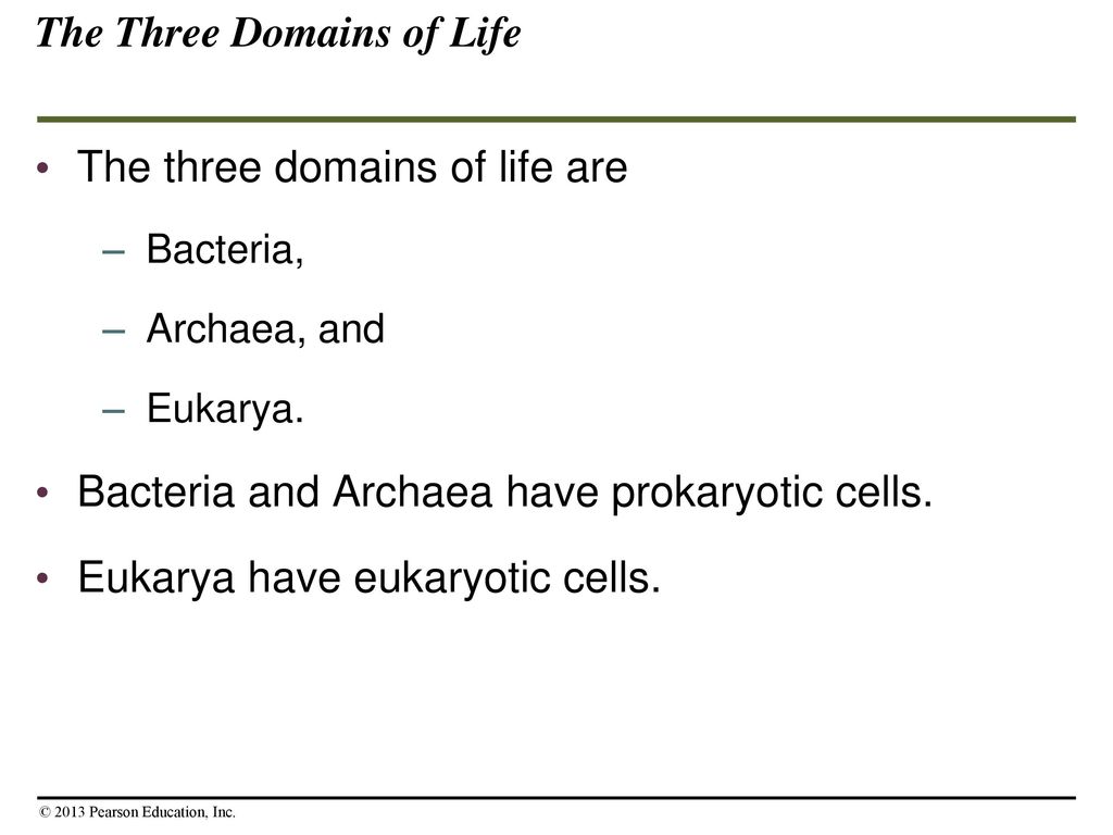 Introduction: Biology Today - ppt download