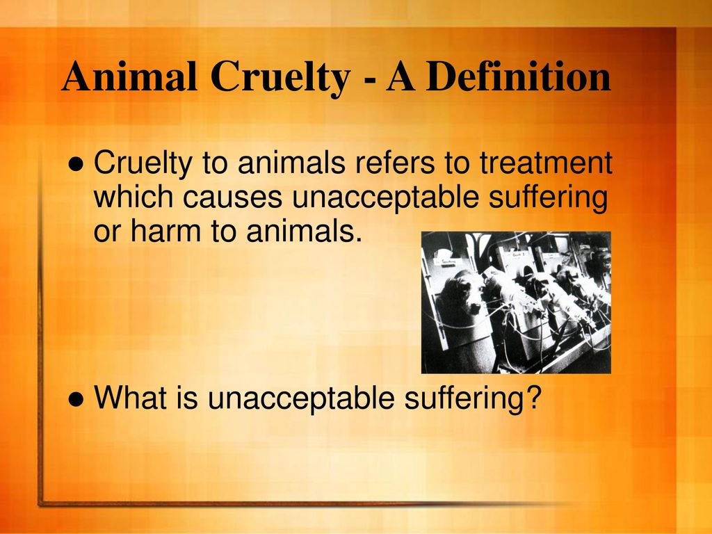 What is cruelty to animals? What is the main argument? - ppt download