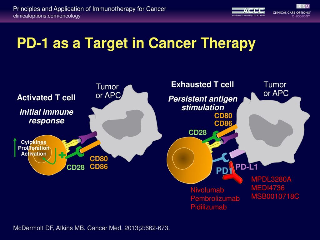 Principles And Application Of Immunotherapy For Cancer Advanced Nsclc