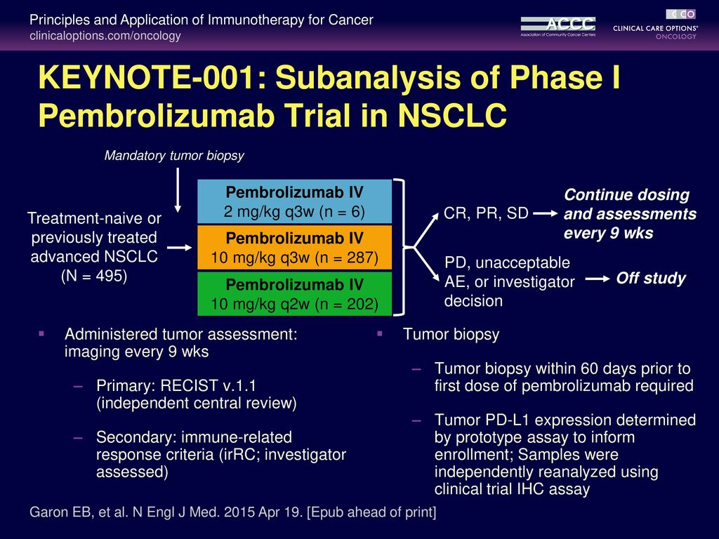 Principles and Application of Immunotherapy for Cancer: Advanced NSCLC ...