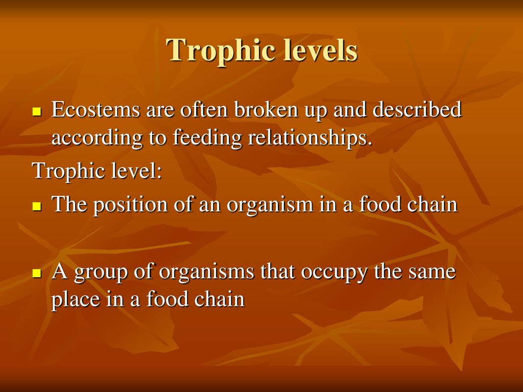 The Ecosystem An Introduction Ppt Download the-ecosystem-an-introduction-ppt-download