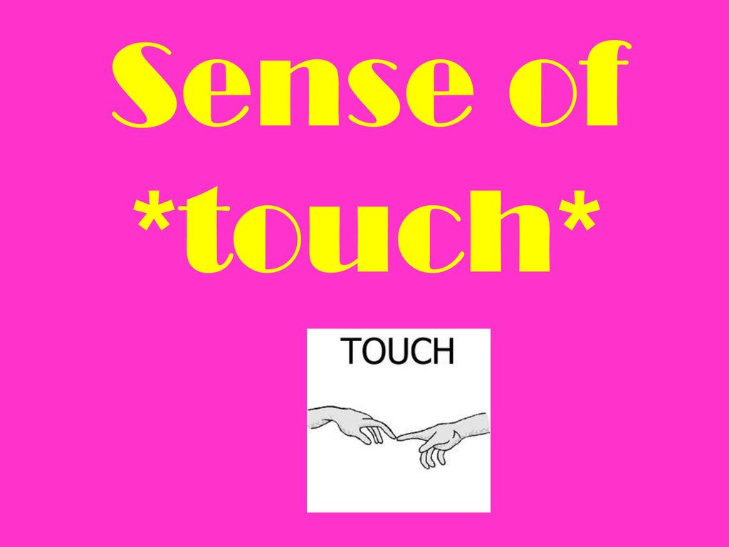 sense-of-touch-ppt-download