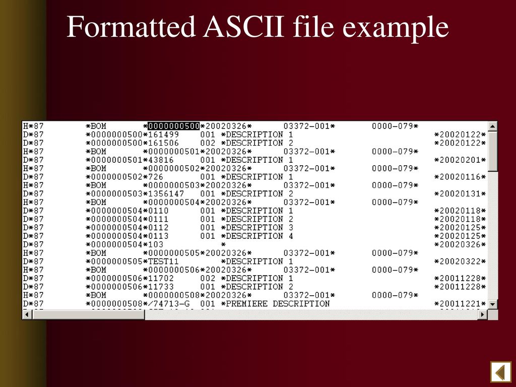 Formatted ASCII file example