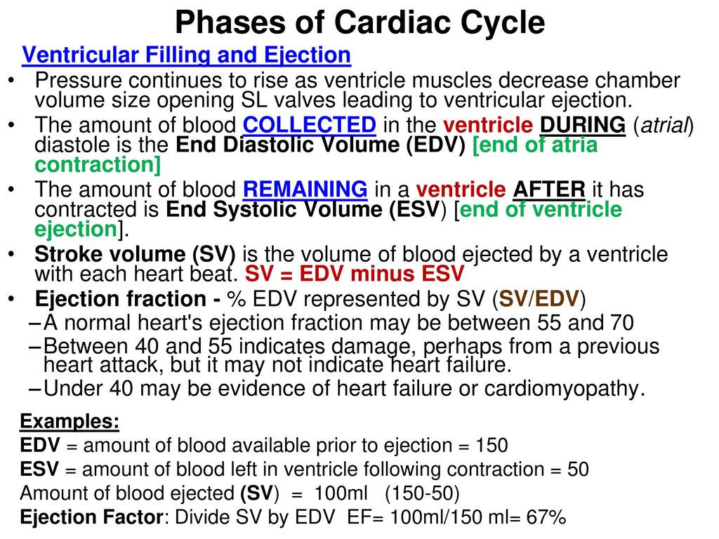 Chapter 20 The Heart ppt download