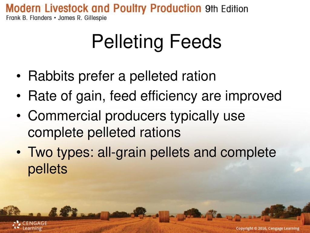 Pelleting Feeds Rabbits prefer a pelleted ration