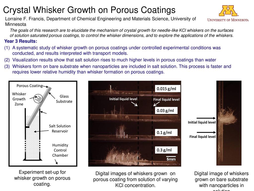Crystal Whisker Growth on Porous Coatings