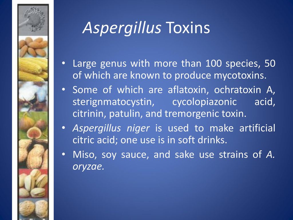 mycotoxins in food with reference to aspergillus species
