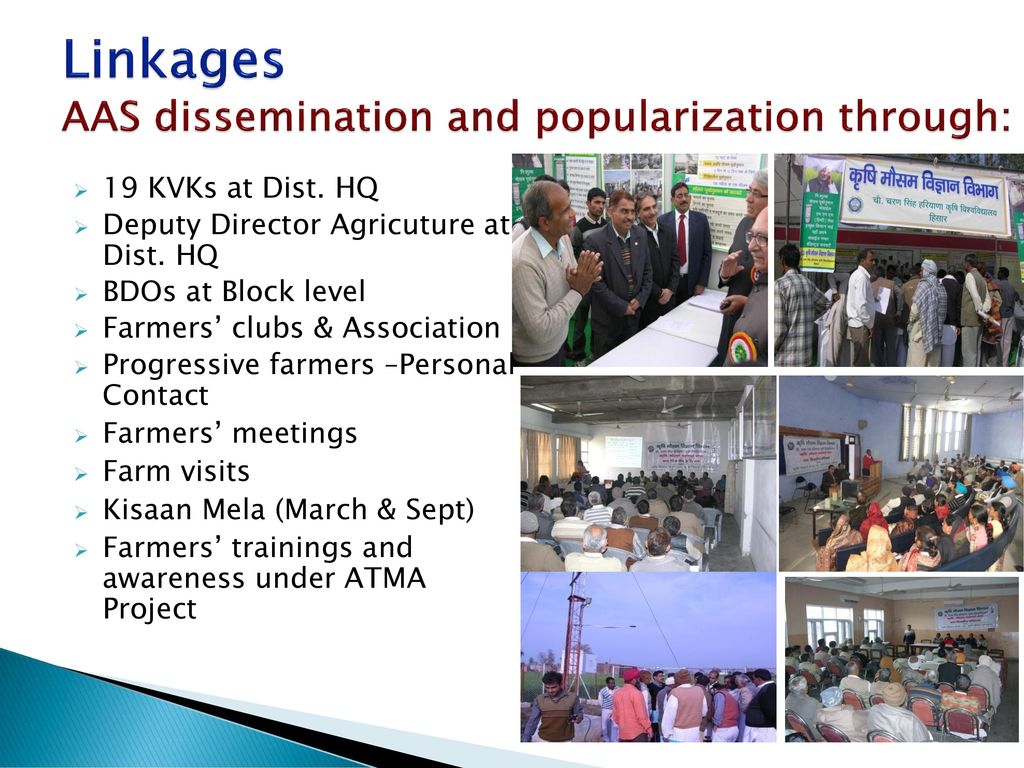 Linkages AAS dissemination and popularization through: