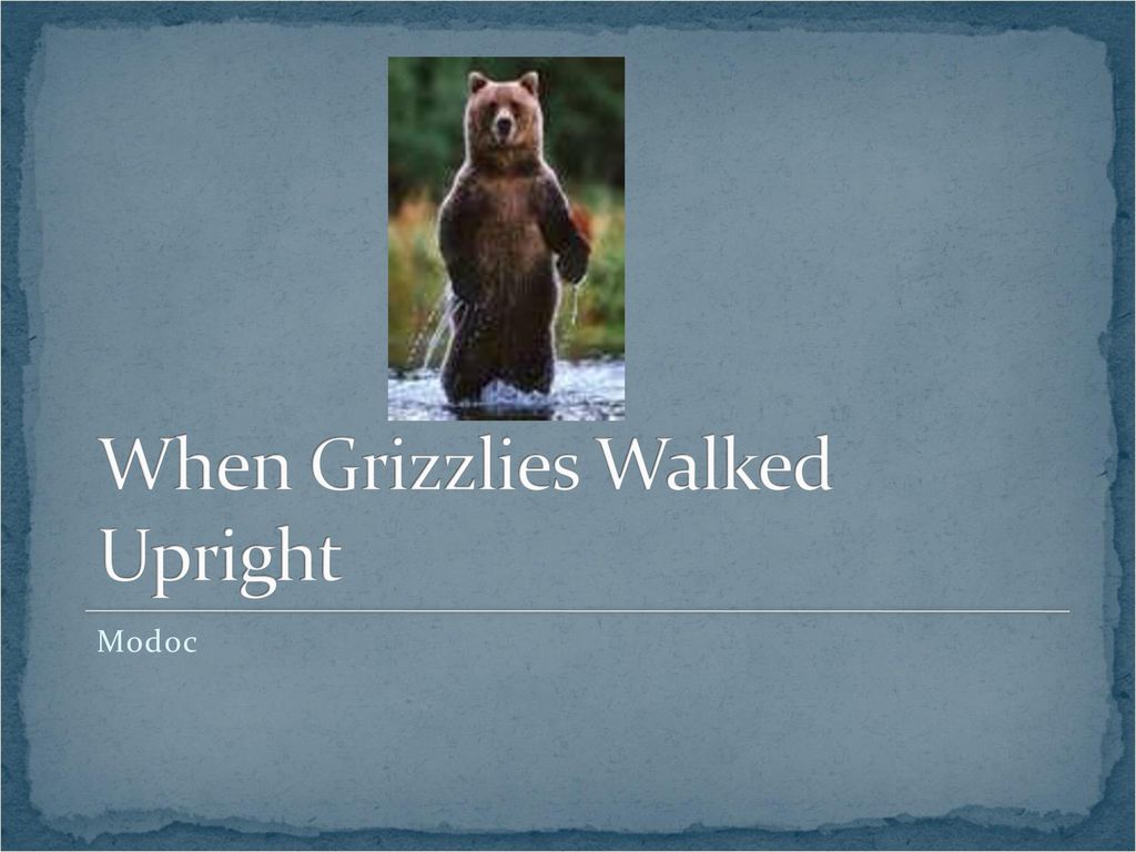 when grizzly bears walked upright