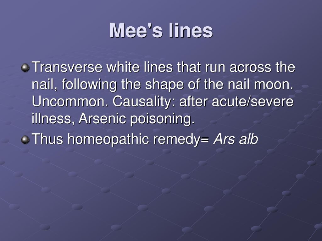 Mee+s+lines