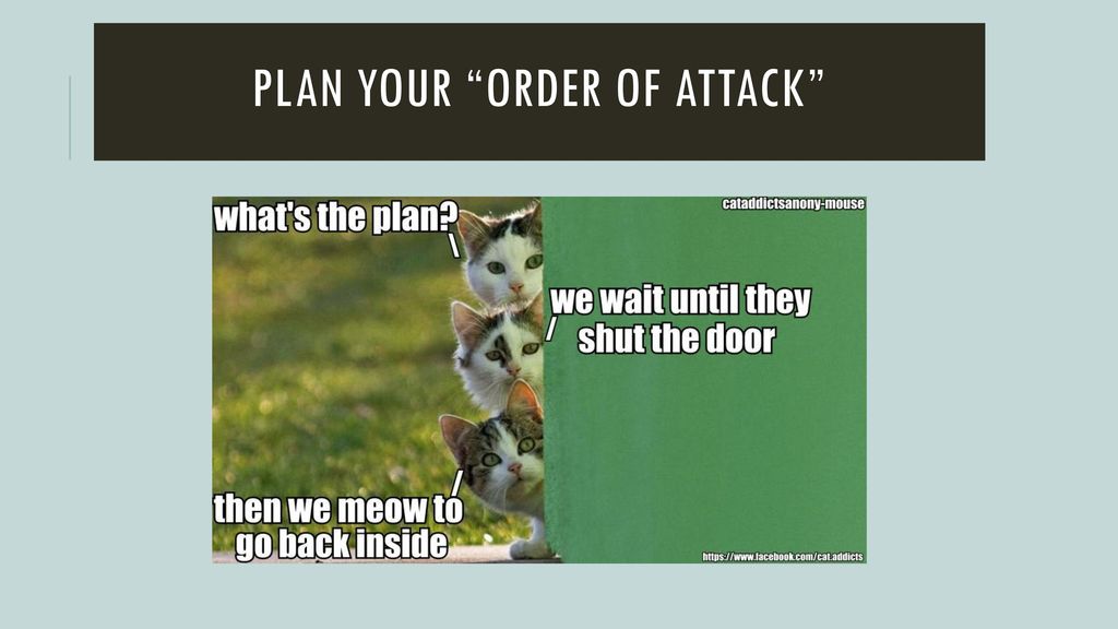 Plan your order of Attack